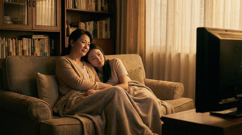 姨母家难忘的日子》剧情介绍优秀视频作品